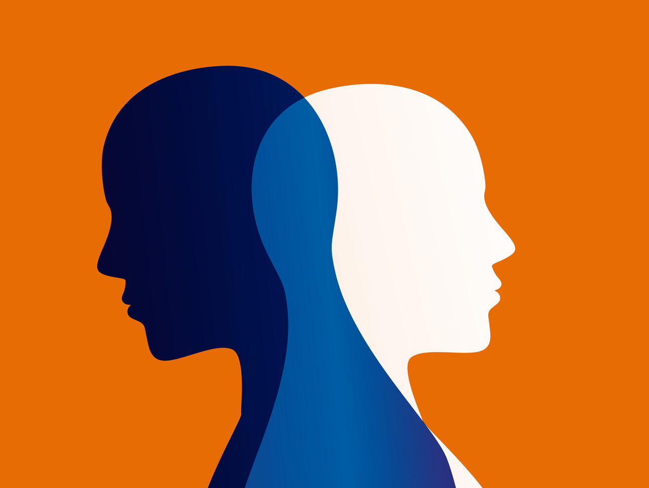 什么叫人格混同