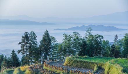 土地承包权与经营使用权区别