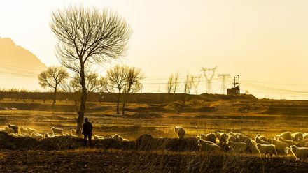 土地承包属于什么权