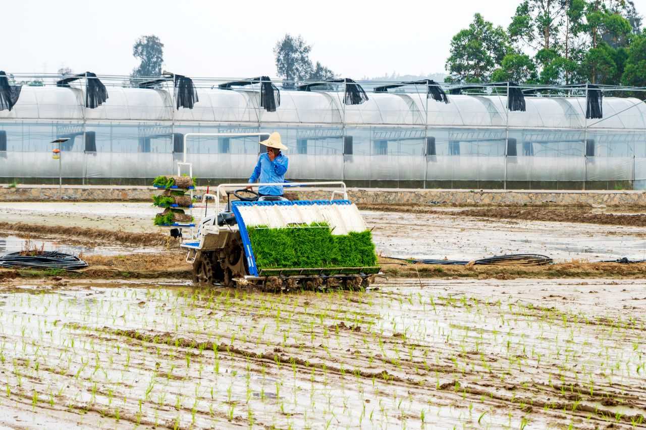 集体建设用地是用划拨还是拨用