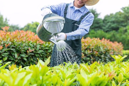 监护人证明由什么机关出具