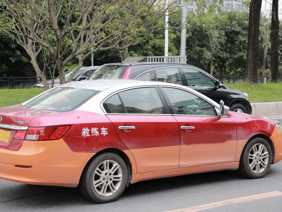 教练车后排坐人违规吗