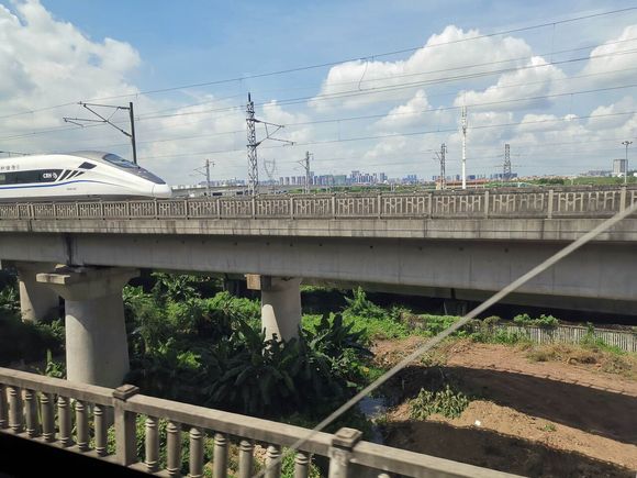 家门口发生交通事故应如何处理好