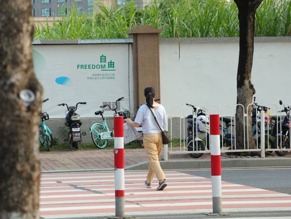 行人过斑马线被车强行加速怎么办