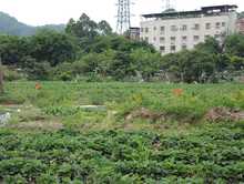 农村土地纠纷起诉流程，农村土地纠纷的种类