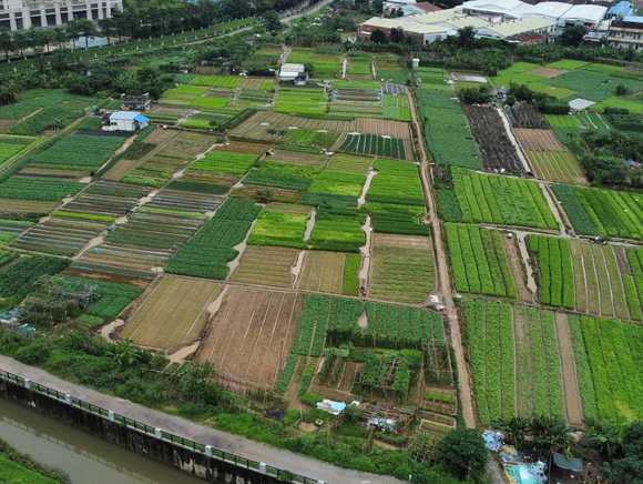 租赁土地能建房屋吗