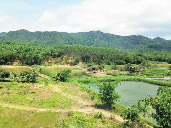 人去世后农村宅基地怎样处理的