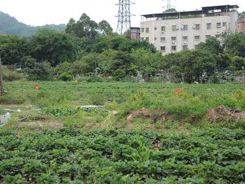 农村居民申请宅基地