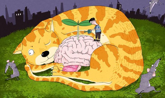 如何对侵犯知识产权的罪行进行惩戒