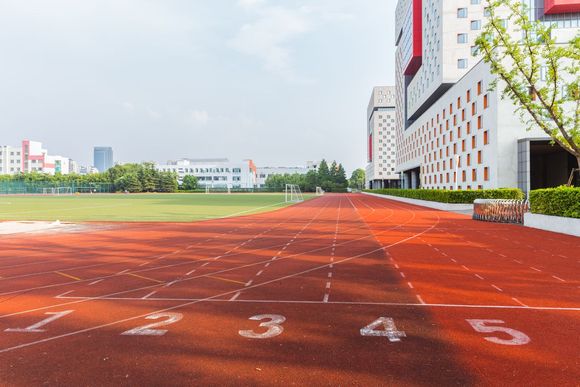 学校发生踩踏事件学校承担什么法律责任