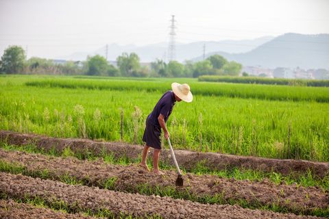 国家对占用土地赔偿标准