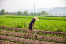 国家修路占农村土地补偿是多少