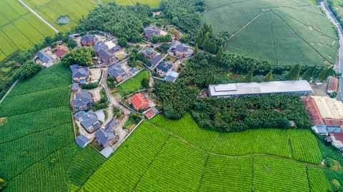 宅基地和集体土地区别有哪些