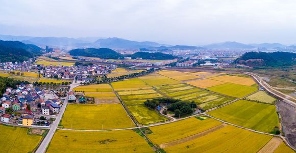 农村土地承包权经营权流转新规定