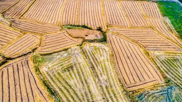 建设用地一亩地多少钱最高