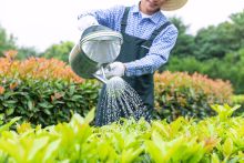 73年在职女职工什么时候退休