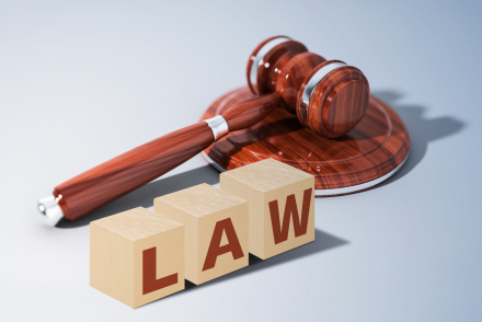 诉讼判定离婚的法律原则