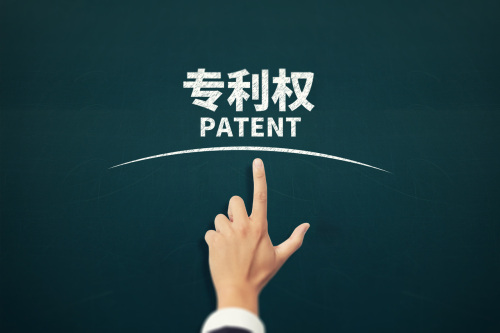 专利权客体有哪些限制
